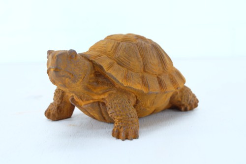 Schildpad