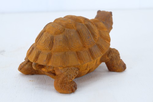 Schildpad