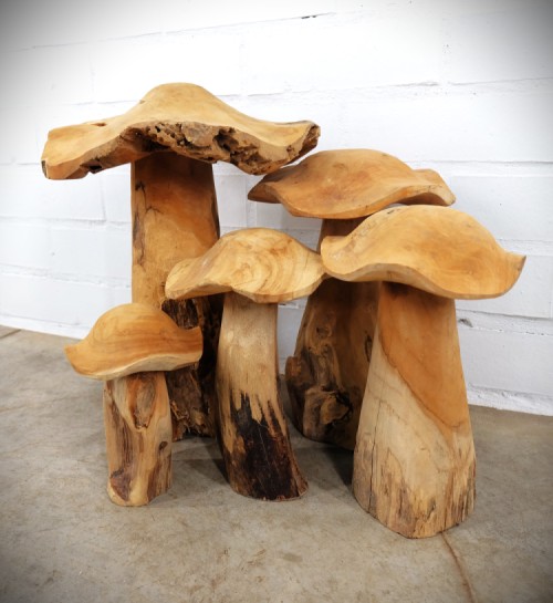 Jamur set - teak