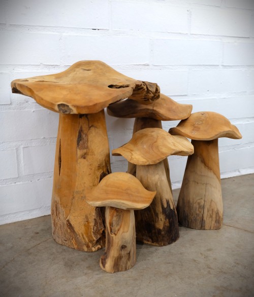 Jamur set - teak