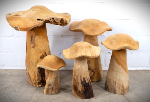 Jamur set - teak